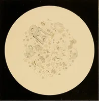 Picture 50 of 89 from An atlas of clinical microscopy (1885), leaf 212