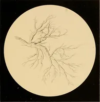 An illustration from An atlas of clinical microscopy (1885)