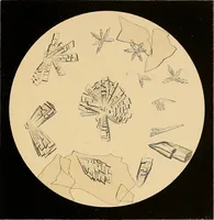 Picture 16 of 89 from An atlas of clinical microscopy (1885), leaf 88