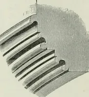 An illustration from An attempt to discriminate the styles of architecture in England, from the conquest to the reformation : with a sketch of the Grecian and Roman orders (1881)