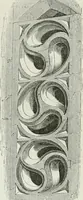 An illustration from An attempt to discriminate the styles of architecture in England, from the conquest to the reformation : with a sketch of the Grecian and Roman orders (1881)
