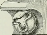 An illustration from An attempt to discriminate the styles of architecture in England, from the conquest to the reformation : with a sketch of the Grecian and Roman orders (1881)
