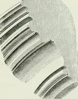 An illustration from An attempt to discriminate the styles of architecture in England, from the conquest to the reformation : with a sketch of the Grecian and Roman orders (1881)