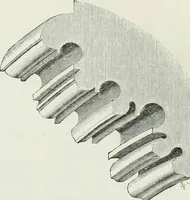 An illustration from An attempt to discriminate the styles of architecture in England, from the conquest to the reformation : with a sketch of the Grecian and Roman orders (1881)