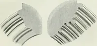 An illustration from An attempt to discriminate the styles of architecture in England, from the conquest to the reformation : with a sketch of the Grecian and Roman orders (1881)
