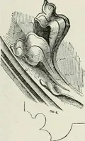 An illustration from An attempt to discriminate the styles of architecture in England, from the conquest to the reformation : with a sketch of the Grecian and Roman orders (1881)