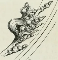 An illustration from An attempt to discriminate the styles of architecture in England, from the conquest to the reformation : with a sketch of the Grecian and Roman orders (1881)