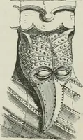 An illustration from An attempt to discriminate the styles of architecture in England, from the conquest to the reformation : with a sketch of the Grecian and Roman orders (1881)