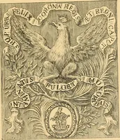 An illustration from Atti della Accademia di scienze, lettere e arti di Palermo. (1845)