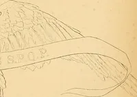 Picture 5 of 14 from Atti della Accademia di scienze, lettere e arti di Palermo. (1845), leaf 102