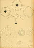 An illustration from Atti della Accademia di scienze, lettere e arti di Palermo. (1845)