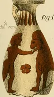 An illustration from Atti della Accademia di scienze, lettere e arti di Palermo. (1845)