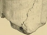 An illustration from Atti della Accademia di scienze, lettere e arti di Palermo. (1845)