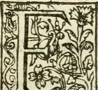 An illustration from The attourneys academy; or, The manner and forme of proceeding practically, vpon any suite, plaint, or action whatsoeuer, in any court of record whatsoeuer, within this kingdome, especially in the great covrts at Westminster, to whose motion all other courts of law or equitie; as well those of the two prouinciall counsailes, those of Guild-Hall, London; as those of like cities and townes corporate. And all other of record are diurnally moued. With the moderne and most usuall fees of the officers and ministers of such courts .. (1623)