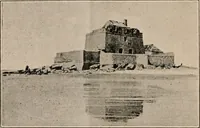 An illustration from Attractions & oscillations des animaux marines sous l'influence de la lumière. Recherches nouvelles relatives au phototactisme et au phototropisme (1905)