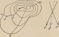 An illustration from Attractions & oscillations des animaux marines sous l'influence de la lumière. Recherches nouvelles relatives au phototactisme et au phototropisme (1905)