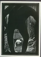 An illustration from Attraverso gli albi e le cartelle : sensazioni d'arte (1904)