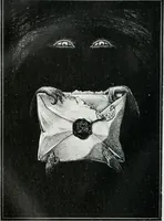 Picture 145 of 403 from Attraverso gli albi e le cartelle : sensazioni d'arte (1904), leaf 149