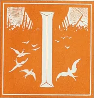Picture 165 of 403 from Attraverso gli albi e le cartelle : sensazioni d'arte (1904), leaf 168