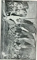 An illustration from Attraverso gli albi e le cartelle : sensazioni d'arte (1904)