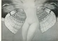 Picture 279 of 403 from Attraverso gli albi e le cartelle : sensazioni d'arte (1904), leaf 265