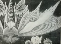 An illustration from Attraverso gli albi e le cartelle : sensazioni d'arte (1904)