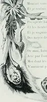 Picture 297 of 403 from Attraverso gli albi e le cartelle : sensazioni d'arte (1904), leaf 282