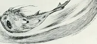 An illustration from Attraverso gli albi e le cartelle : sensazioni d'arte (1904)