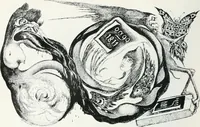Picture 300 of 403 from Attraverso gli albi e le cartelle : sensazioni d'arte (1904), leaf 285