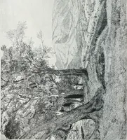 An illustration from Attraverso gli albi e le cartelle : sensazioni d'arte (1904)