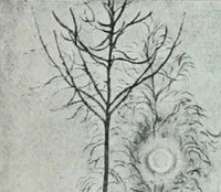 Picture 65 of 403 from Attraverso gli albi e le cartelle : sensazioni d'arte (1904), leaf 76