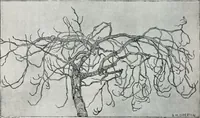 Picture 122 of 420 from Attraverso gli albi e le cartelle : sensazioni d'arte (1904), leaf 121