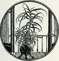 Picture 141 of 420 from Attraverso gli albi e le cartelle : sensazioni d'arte (1904), leaf 138