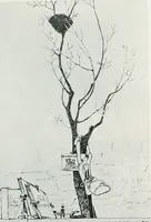 Picture 145 of 420 from Attraverso gli albi e le cartelle : sensazioni d'arte (1904), leaf 142