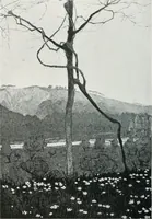 Picture 150 of 420 from Attraverso gli albi e le cartelle : sensazioni d'arte (1904), leaf 147