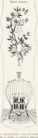 Picture 212 of 420 from Attraverso gli albi e le cartelle : sensazioni d'arte (1904), leaf 203