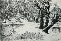 An illustration from Attraverso gli albi e le cartelle : sensazioni d'arte (1904)