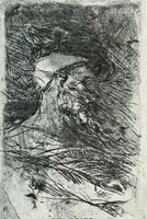 Picture 253 of 420 from Attraverso gli albi e le cartelle : sensazioni d'arte (1904), leaf 254