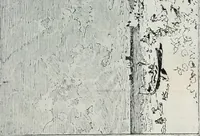 An illustration from Attraverso gli albi e le cartelle : sensazioni d'arte (1904)