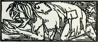 Picture 370 of 420 from Attraverso gli albi e le cartelle : sensazioni d'arte (1904), leaf 362