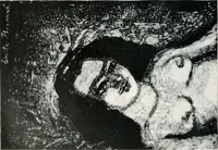 Picture 389 of 420 from Attraverso gli albi e le cartelle : sensazioni d'arte (1904), leaf 377