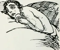 Picture 398 of 420 from Attraverso gli albi e le cartelle : sensazioni d'arte (1904), leaf 383