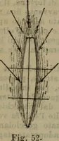 Picture 132 of 145 from Attrezzatura, manovra delle navi e segnalazioni marittime ... con 15 tavole lit. e 232 incisioni nel testo (1894), leaf 347