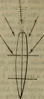 Picture 133 of 145 from Attrezzatura, manovra delle navi e segnalazioni marittime ... con 15 tavole lit. e 232 incisioni nel testo (1894), leaf 347