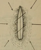 Picture 136 of 145 from Attrezzatura, manovra delle navi e segnalazioni marittime ... con 15 tavole lit. e 232 incisioni nel testo (1894), leaf 348