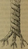 Picture 22 of 145 from Attrezzatura, manovra delle navi e segnalazioni marittime ... con 15 tavole lit. e 232 incisioni nel testo (1894), leaf 51