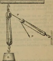 Picture 32 of 145 from Attrezzatura, manovra delle navi e segnalazioni marittime ... con 15 tavole lit. e 232 incisioni nel testo (1894), leaf 60