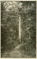 An illustration from Au Congo : carnet de campagne ; episodes & impressions de 1889 à 1897 (1913)