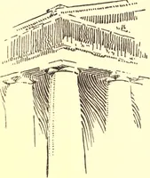 An illustration from Audiences : a few suggestions to those who look and listen (1896)