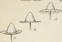 Picture 86 of 166 from Augsburg's drawing, book 2 (1901), leaf 100